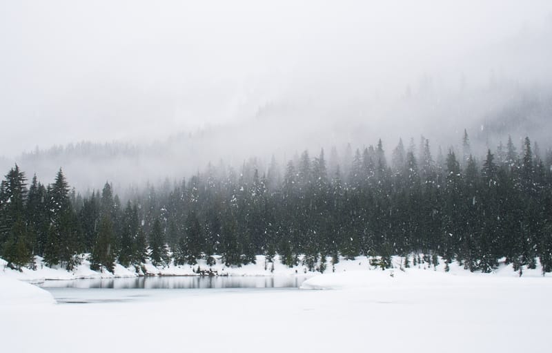 Winterwandern